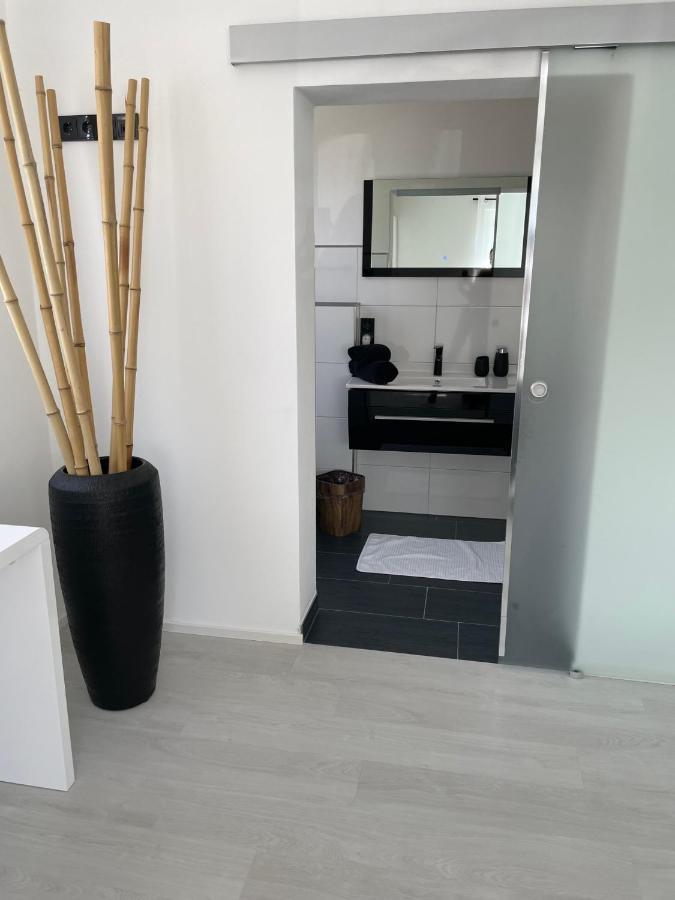 Apartments Saaldorf-Ferienhaus Mit 6 Apartments 45Qm-120Qm Direkt Am Thueringer Meer-Bleilochtalsperre Bad Lobenstein Luaran gambar