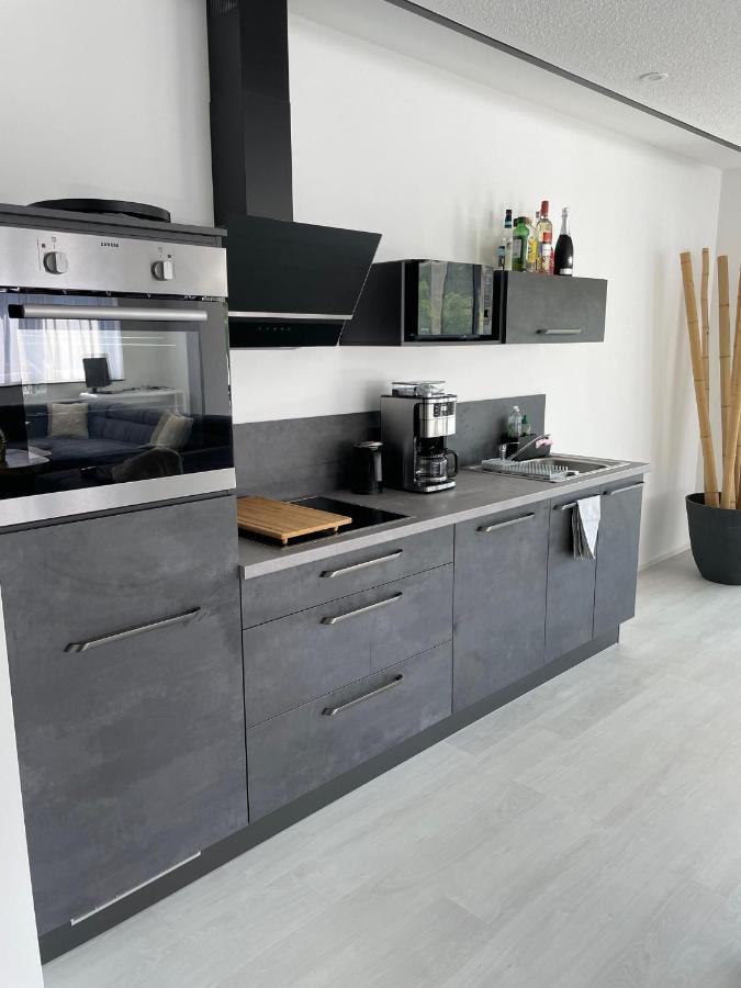 Apartments Saaldorf-Ferienhaus Mit 6 Apartments 45Qm-120Qm Direkt Am Thueringer Meer-Bleilochtalsperre Bad Lobenstein Luaran gambar
