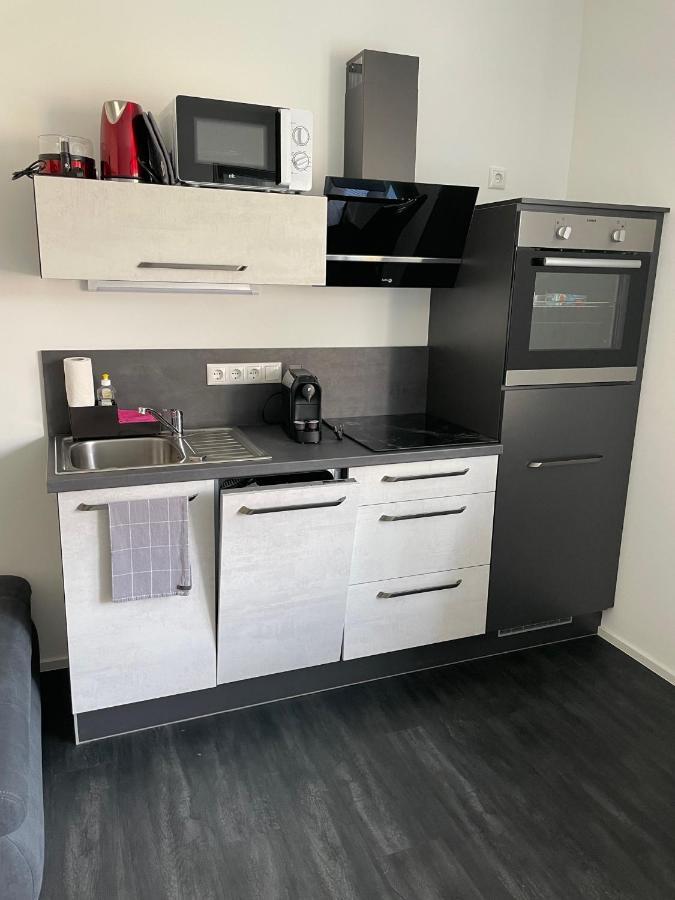 Apartments Saaldorf-Ferienhaus Mit 6 Apartments 45Qm-120Qm Direkt Am Thueringer Meer-Bleilochtalsperre Bad Lobenstein Luaran gambar