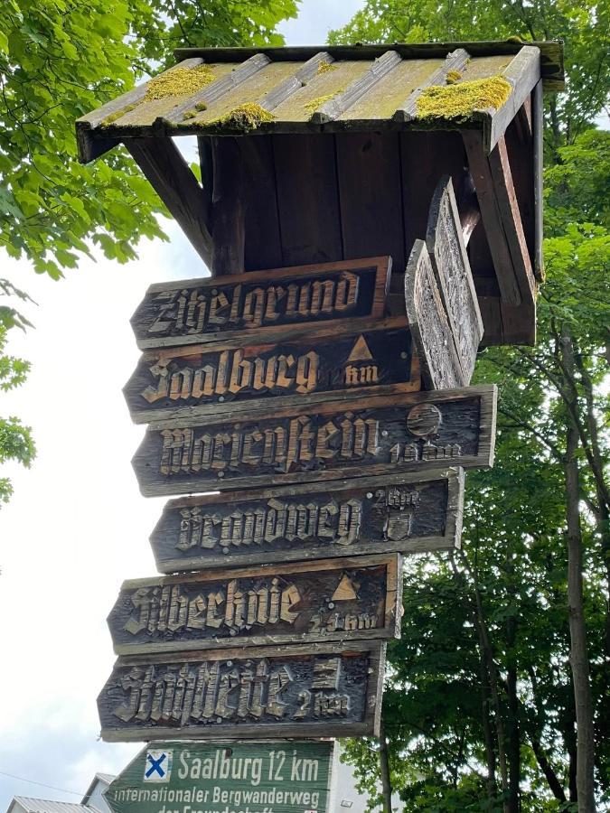 Apartments Saaldorf-Ferienhaus Mit 6 Apartments 45Qm-120Qm Direkt Am Thueringer Meer-Bleilochtalsperre Bad Lobenstein Luaran gambar