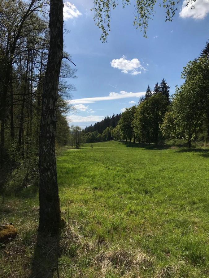 Apartments Saaldorf-Ferienhaus Mit 6 Apartments 45Qm-120Qm Direkt Am Thueringer Meer-Bleilochtalsperre Bad Lobenstein Luaran gambar