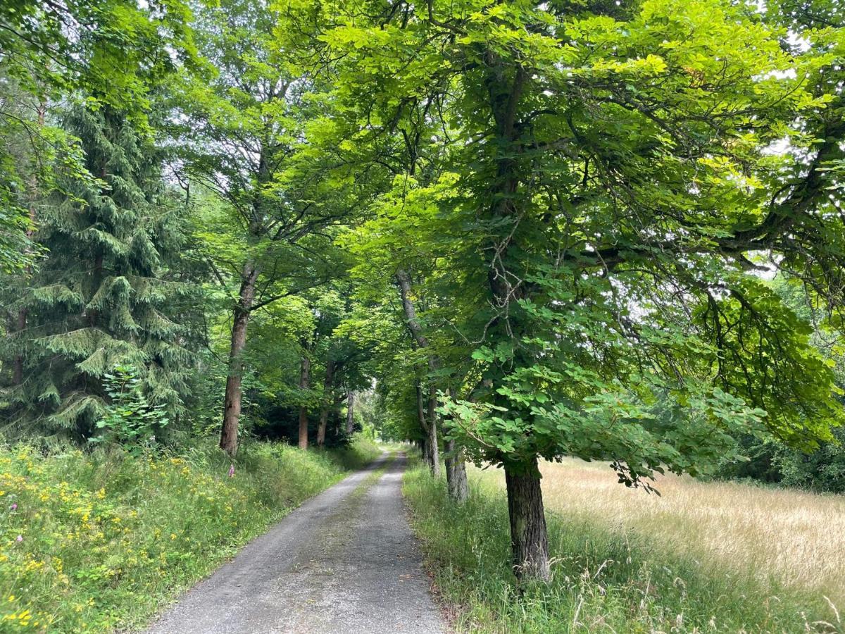 Apartments Saaldorf-Ferienhaus Mit 6 Apartments 45Qm-120Qm Direkt Am Thueringer Meer-Bleilochtalsperre Bad Lobenstein Luaran gambar